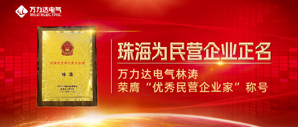 普洱为民营企业正名 PG电子电气林涛荣膺“优良民营企业家”称号